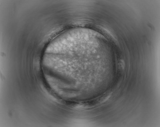 X0000090630504200708071248