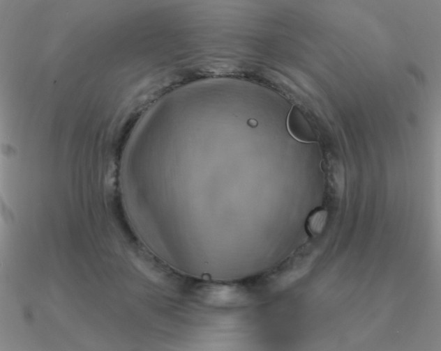 X0000090630507200708071248