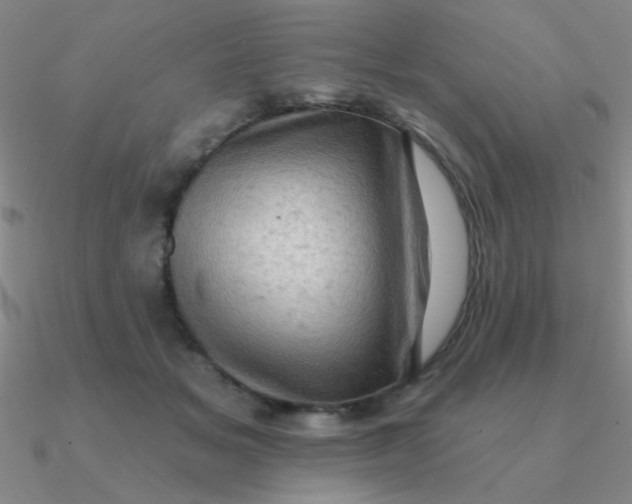 X0000090630509200708071248