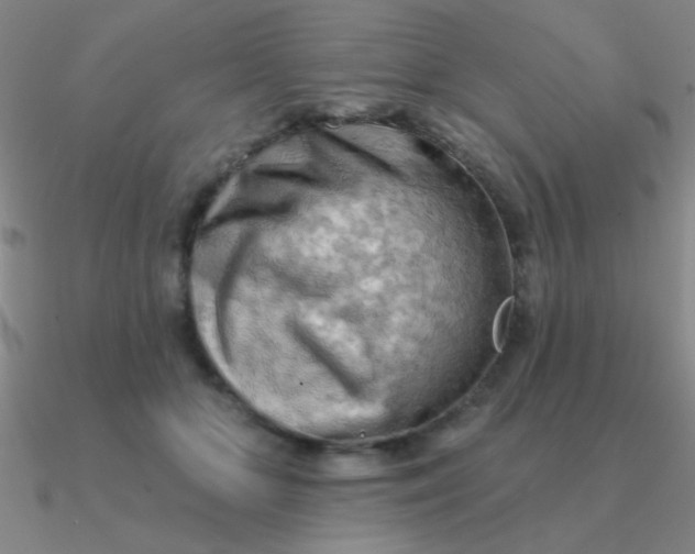 X0000090630510200708071248