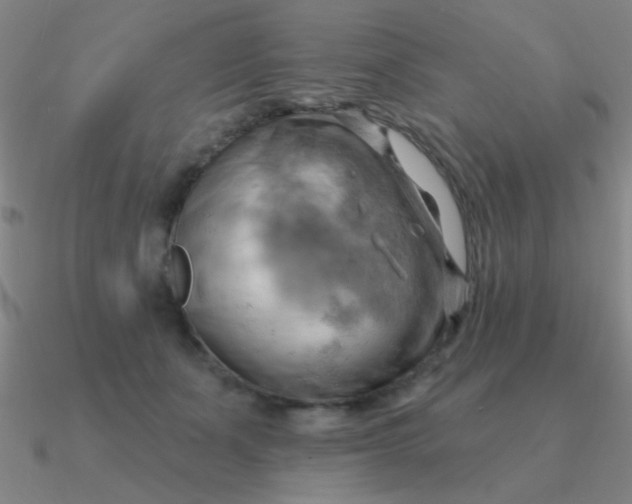 X0000090630511200708071248