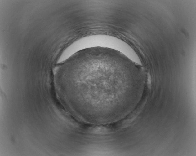 X0000090630512200708071248