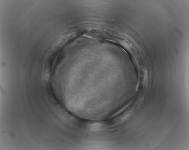 X0000090630513200708071248