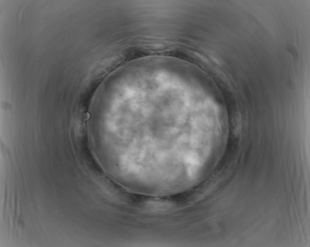 X0000090630515200708071248