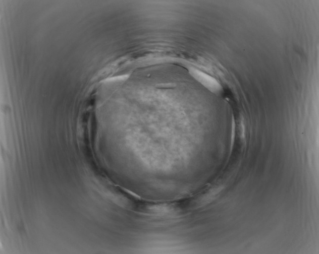 X0000090630516200708071248