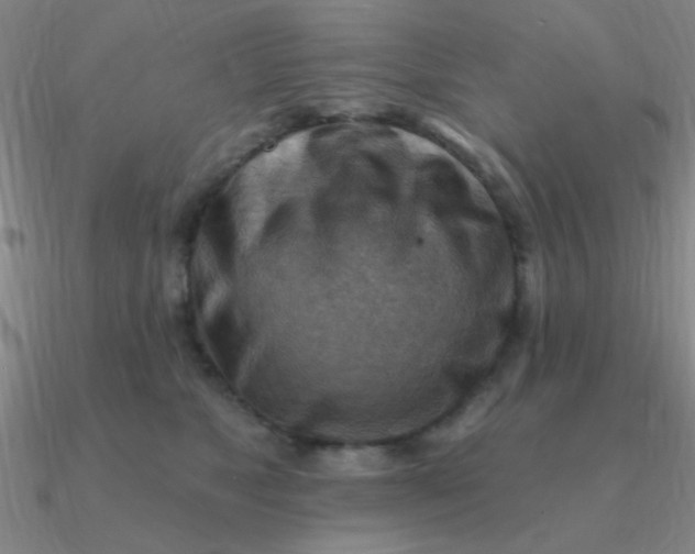 X0000090630517200708071248