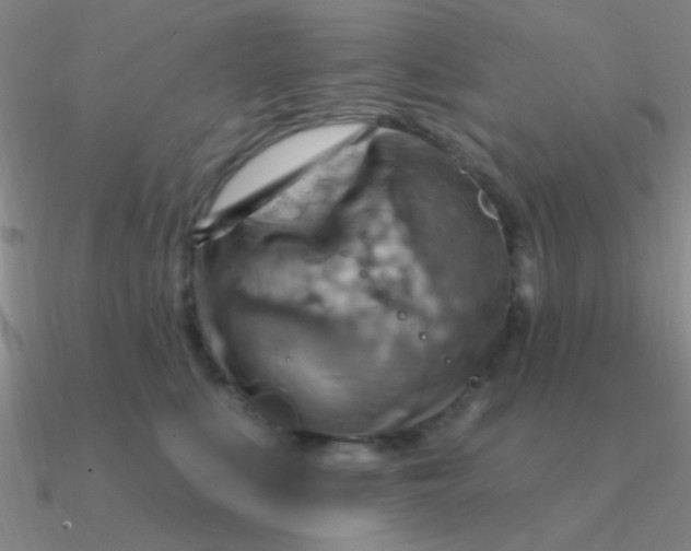 X0000090630519200708071248