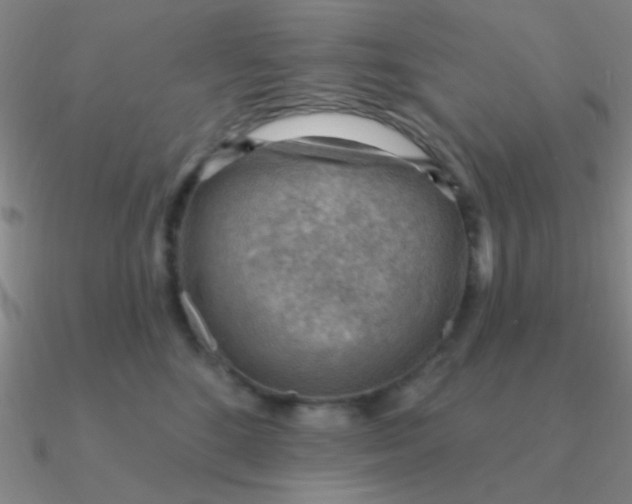 X0000090630520200708071248