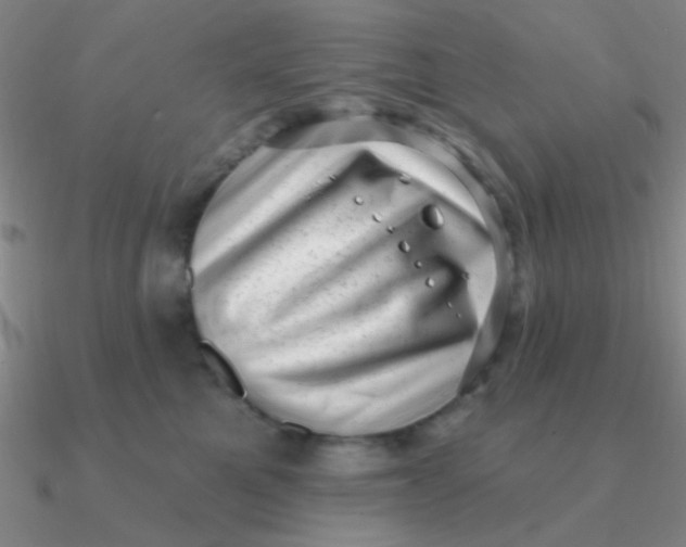 X0000090630521200708071248