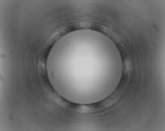 X0000090630522200708071248