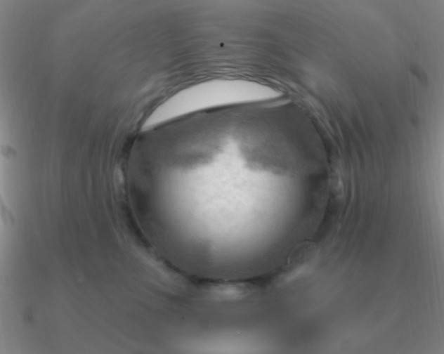 X0000090630523200708071248