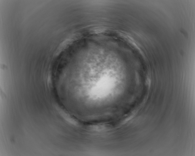 X0000090630524200708071248