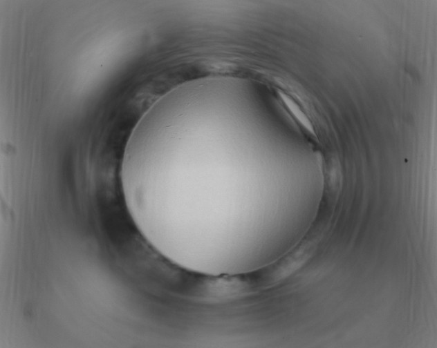 X0000090630525200708071248