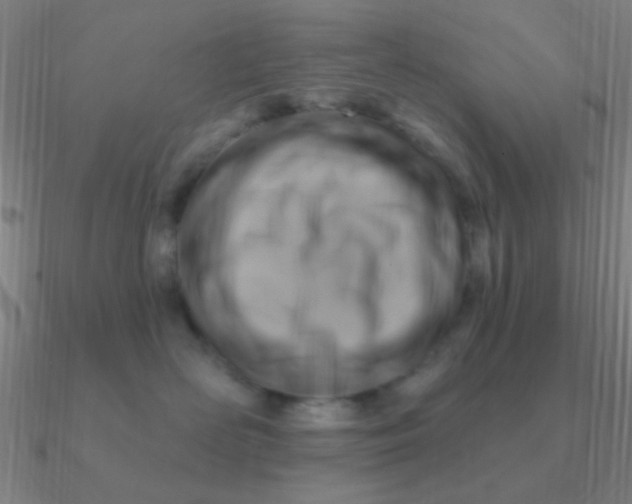 X0000090630526200708071248