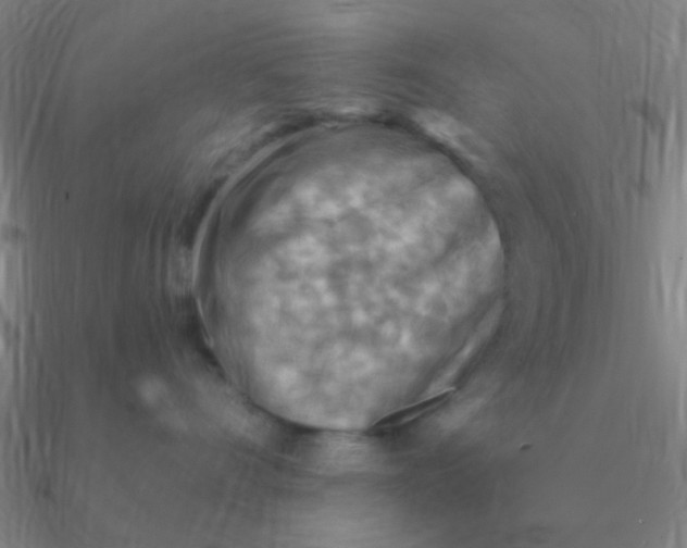 X0000090630528200708071248