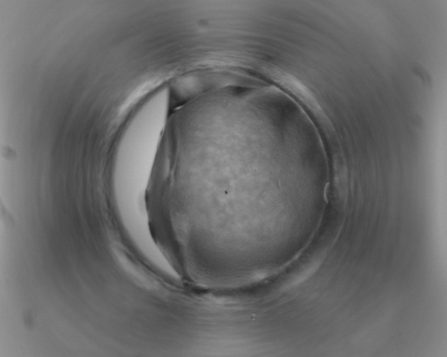 X0000090630530200708071247