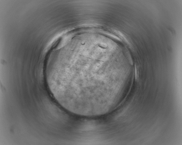 X0000090630531200708071247