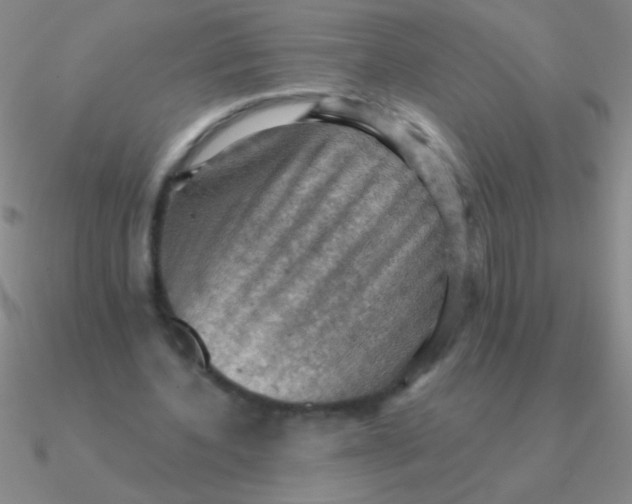 X0000090630532200708071247