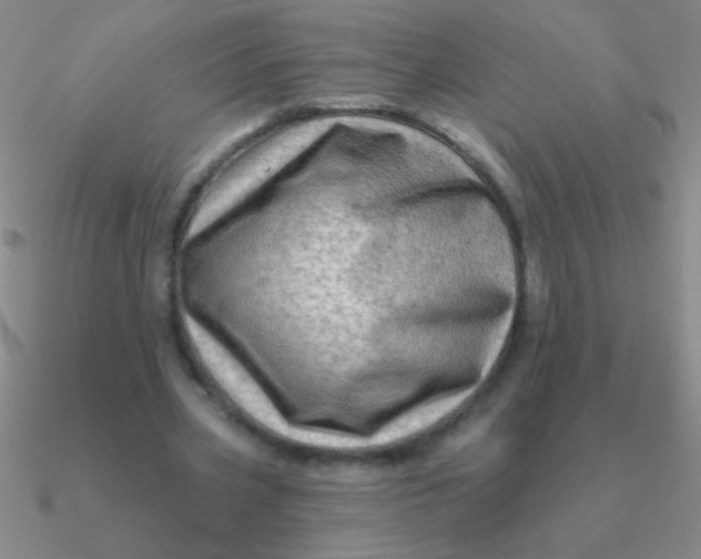 X0000090630533200708071247