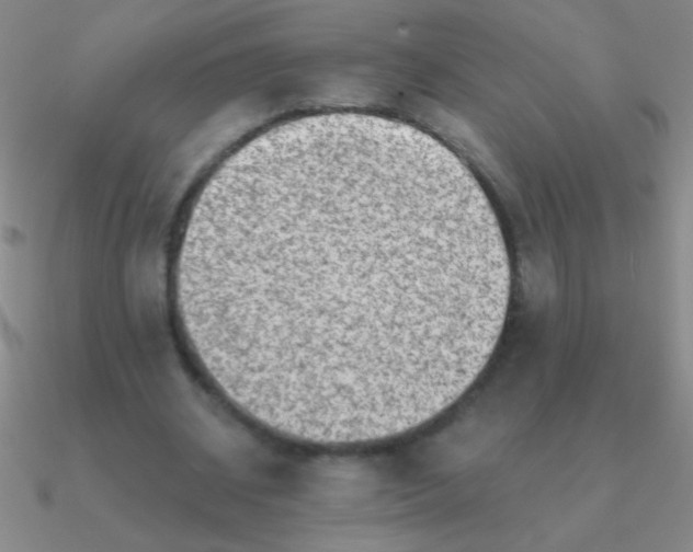 X0000090630534200708071247