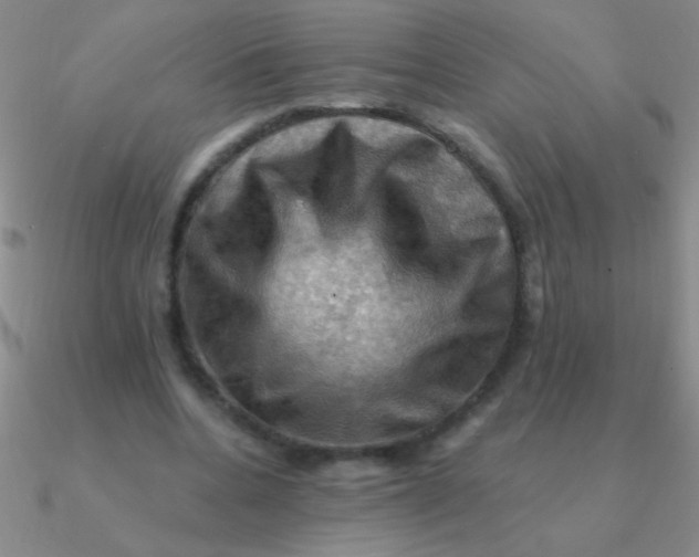 X0000090630536200708071248