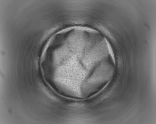 X0000090630537200708071248