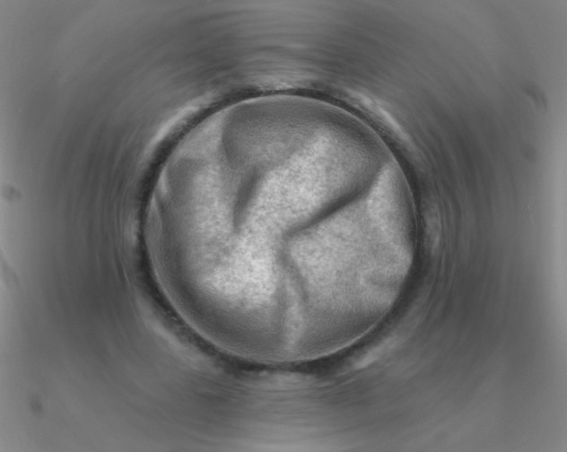 X0000090630539200708071248