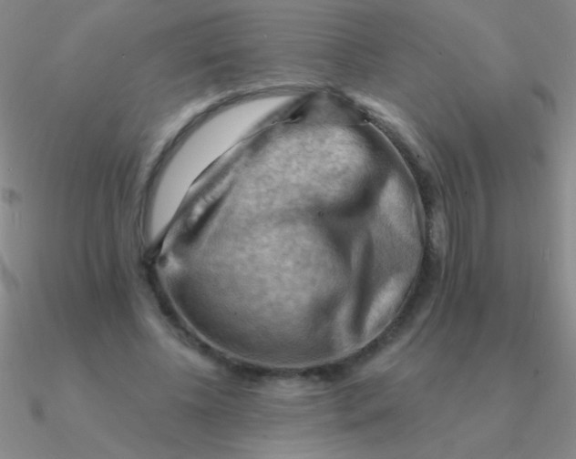 X0000090630540200708071248