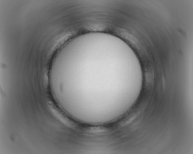 X0000090630541200708071248