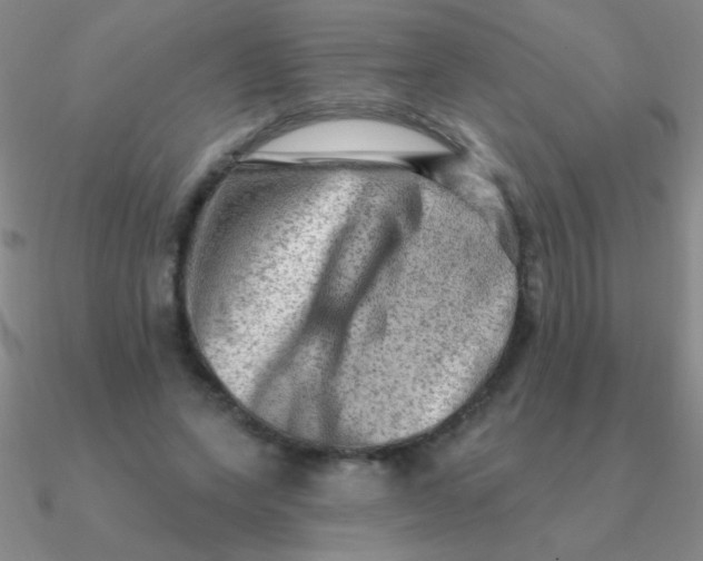 X0000090630543200708071248