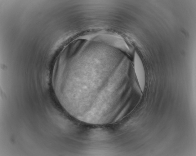 X0000090630544200708071248