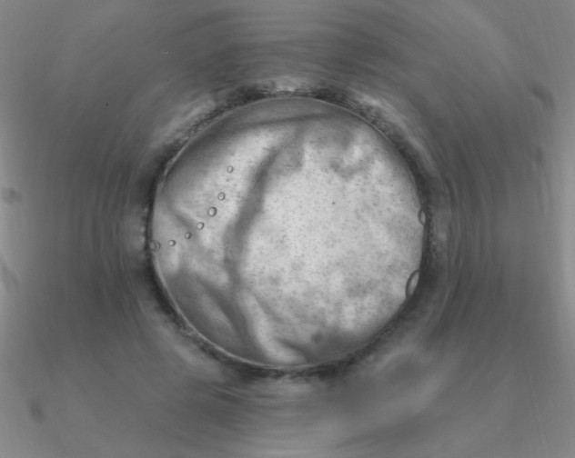 X0000090630545200708071248