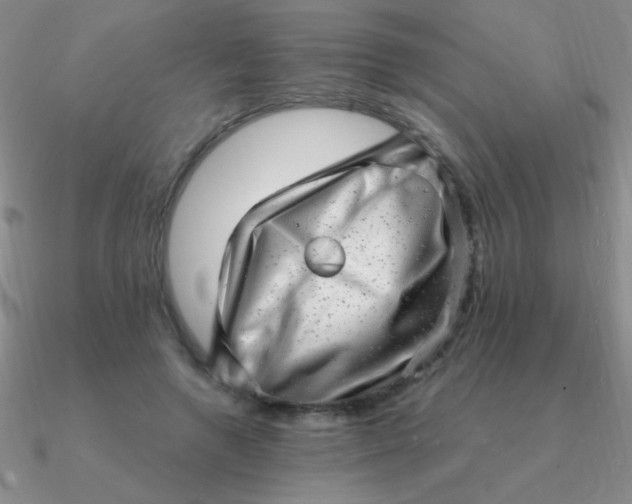 X0000090630546200708071248