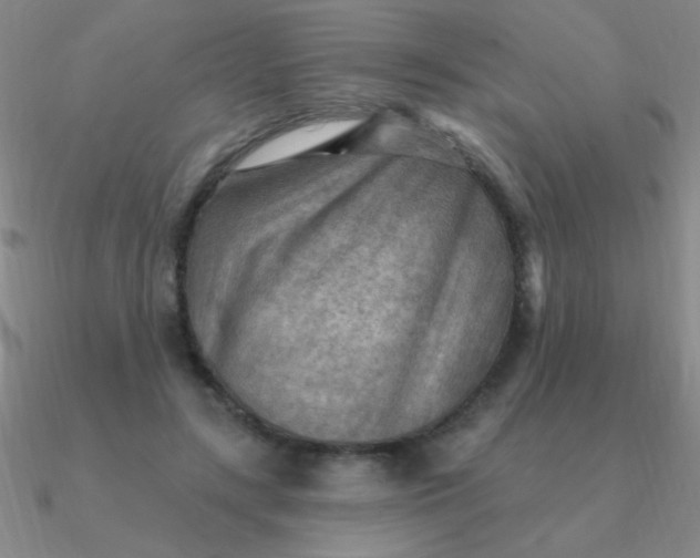 X0000090630547200708071248