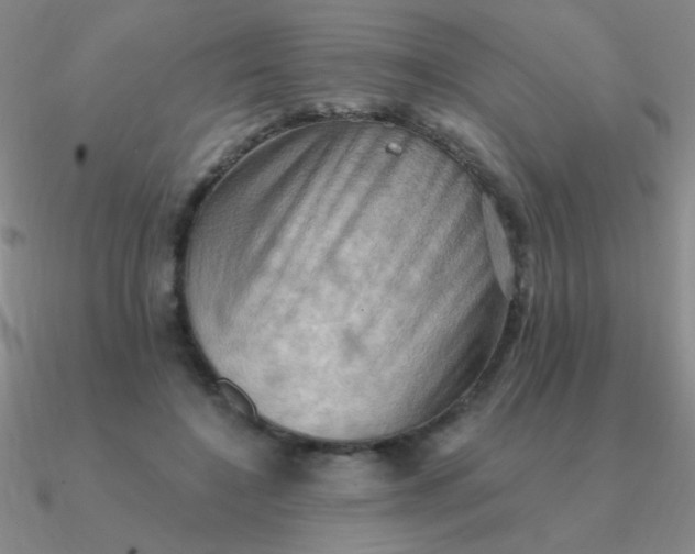 X0000090630548200708071248