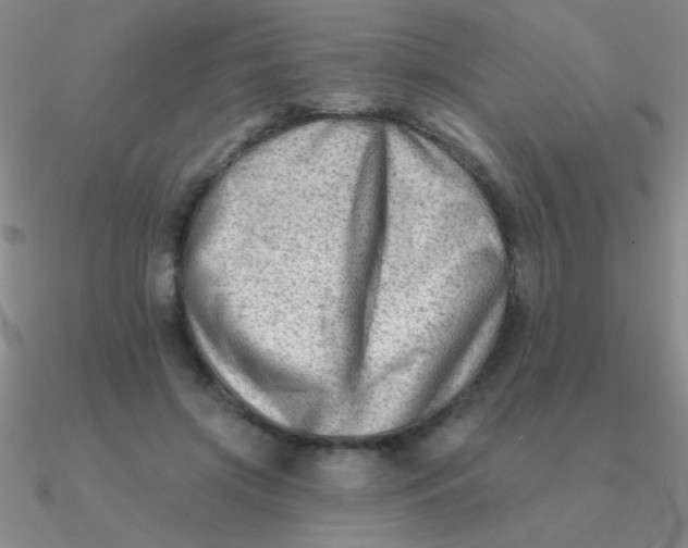 X0000090630549200708071248