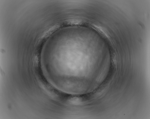 X0000090630551200708071248