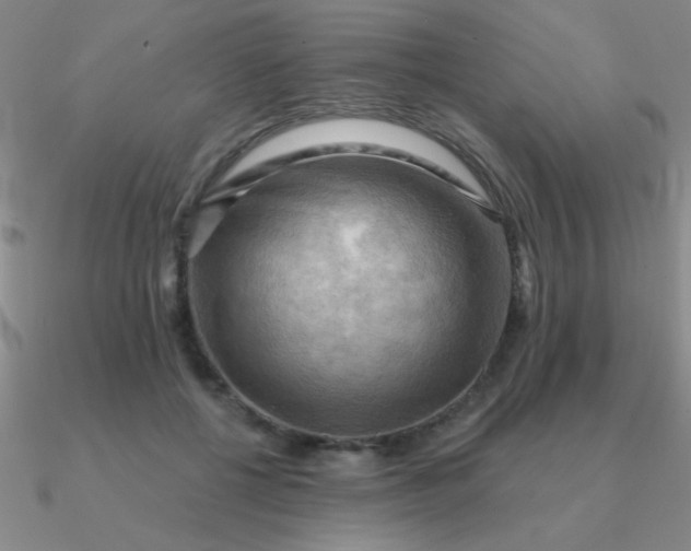 X0000090630552200708071248