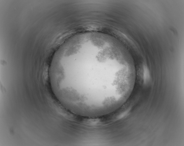 X0000090630554200708071248