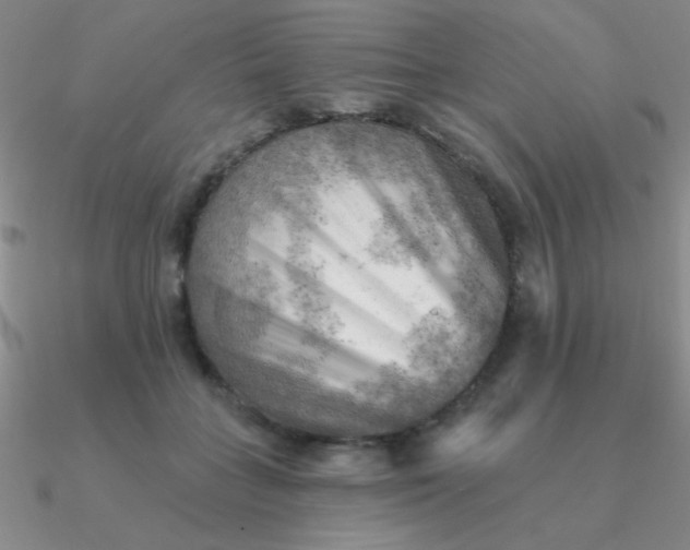 X0000090630555200708071248