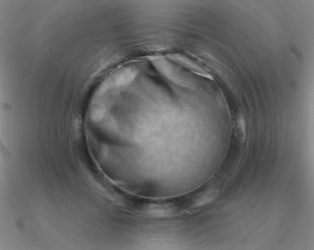 X0000090630556200708071248