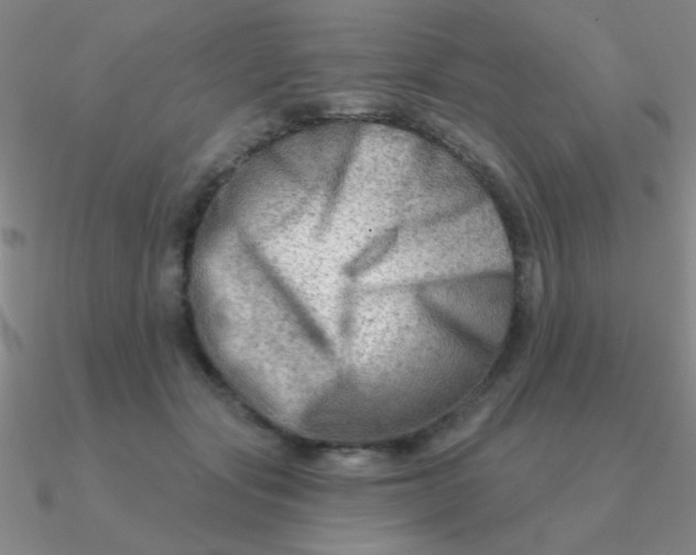 X0000090630557200708071248