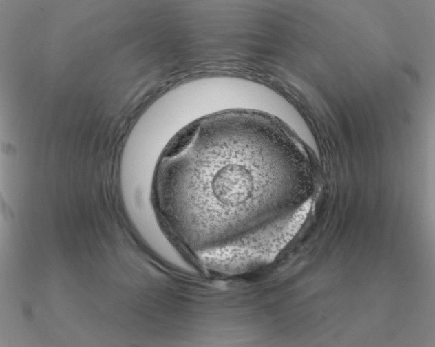 X0000090630558200708071248