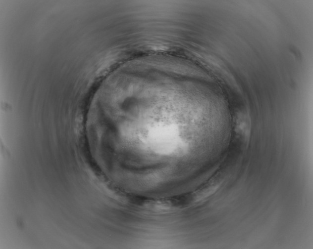 X0000090630559200708071248