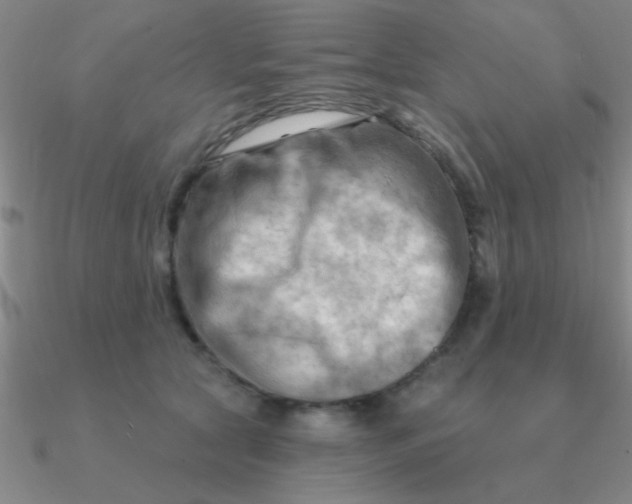 X0000090630561200708071248