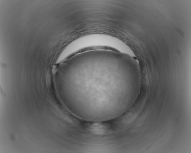 X0000090630562200708071248