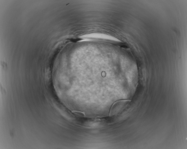 X0000090630563200708071248