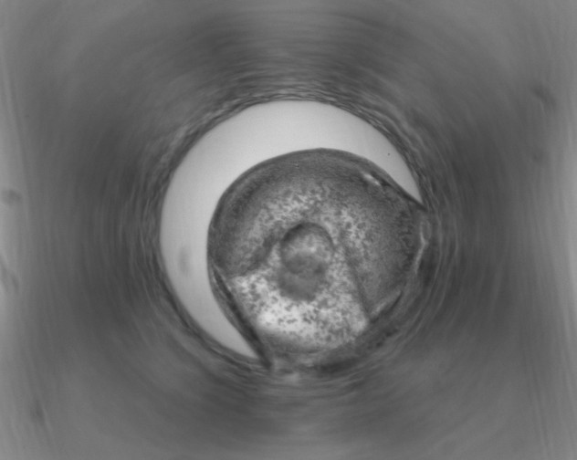 X0000090630564200708071248