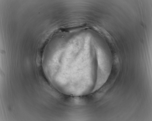 X0000090630565200708071248