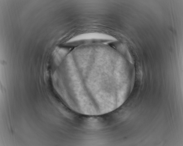 X0000090630566200708071248